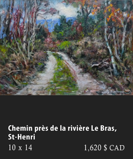 Chemin près de la rivière Le Bras, Saint-Henri