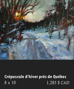 Crépuscule d'hiver près de Québec