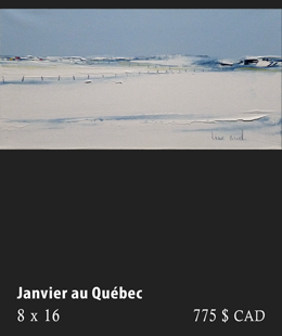 Janvier au Québec