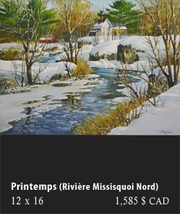 Printemps(Rivière Missisquoi Nord)